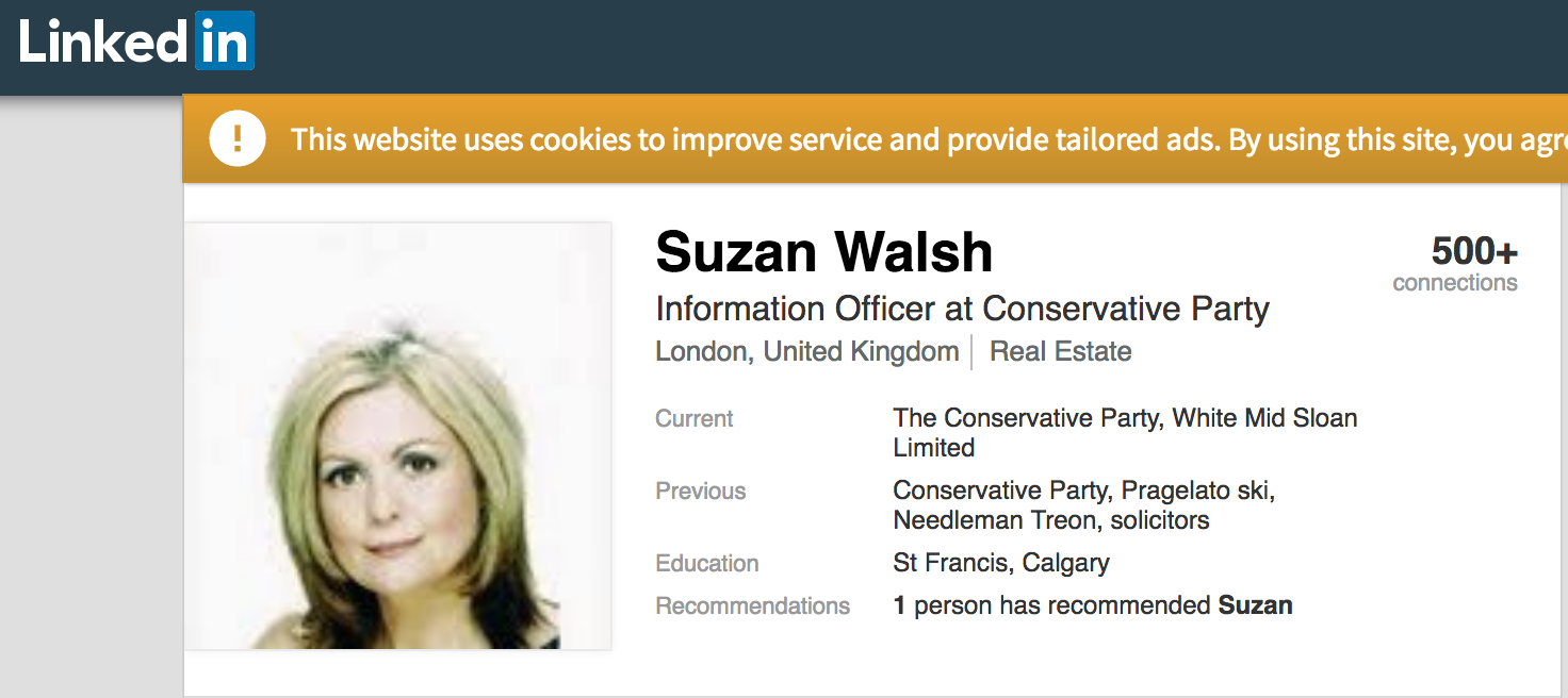 Suzan Walsh Conservative Party LinkedIn