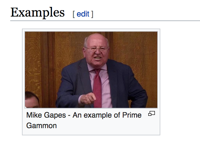 Mike Gapes Prime Gammon