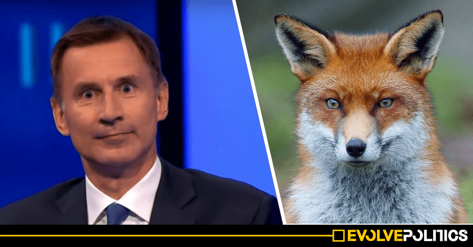 Tory Leadership Candidate Jeremy Hunt pledges to legalise fox hunting if he becomes Prime Minister